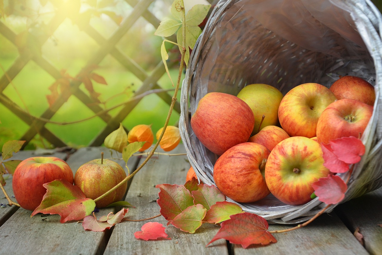 Сбор яблок по лунному календарю в сентябре-октябре 2023. Лучшие дни