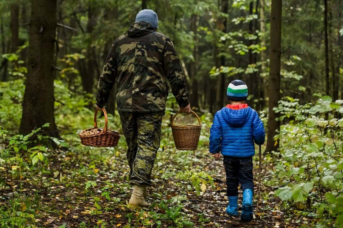 Ходить по лесу. Люди идут за грибами. Четверо человек в лесу конец ноября. Двое идут по грибы. Люди идут за грибами картинки.